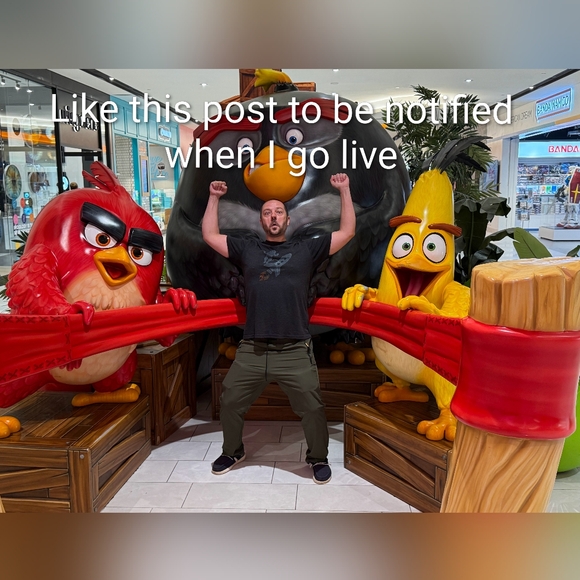 Meet your Posher, Paul - Picture 1 of 3